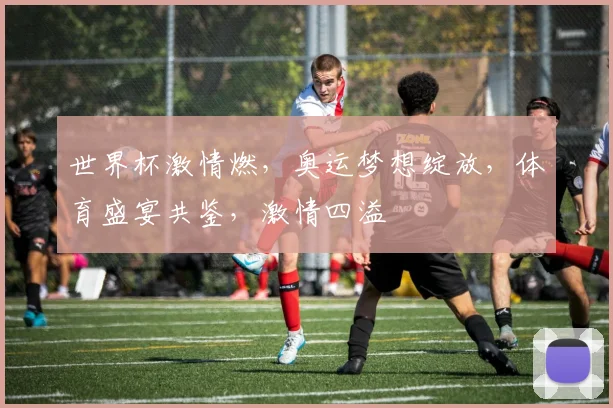 世界杯激情燃，奥运梦想绽放，体育盛宴共鉴，激情四溢